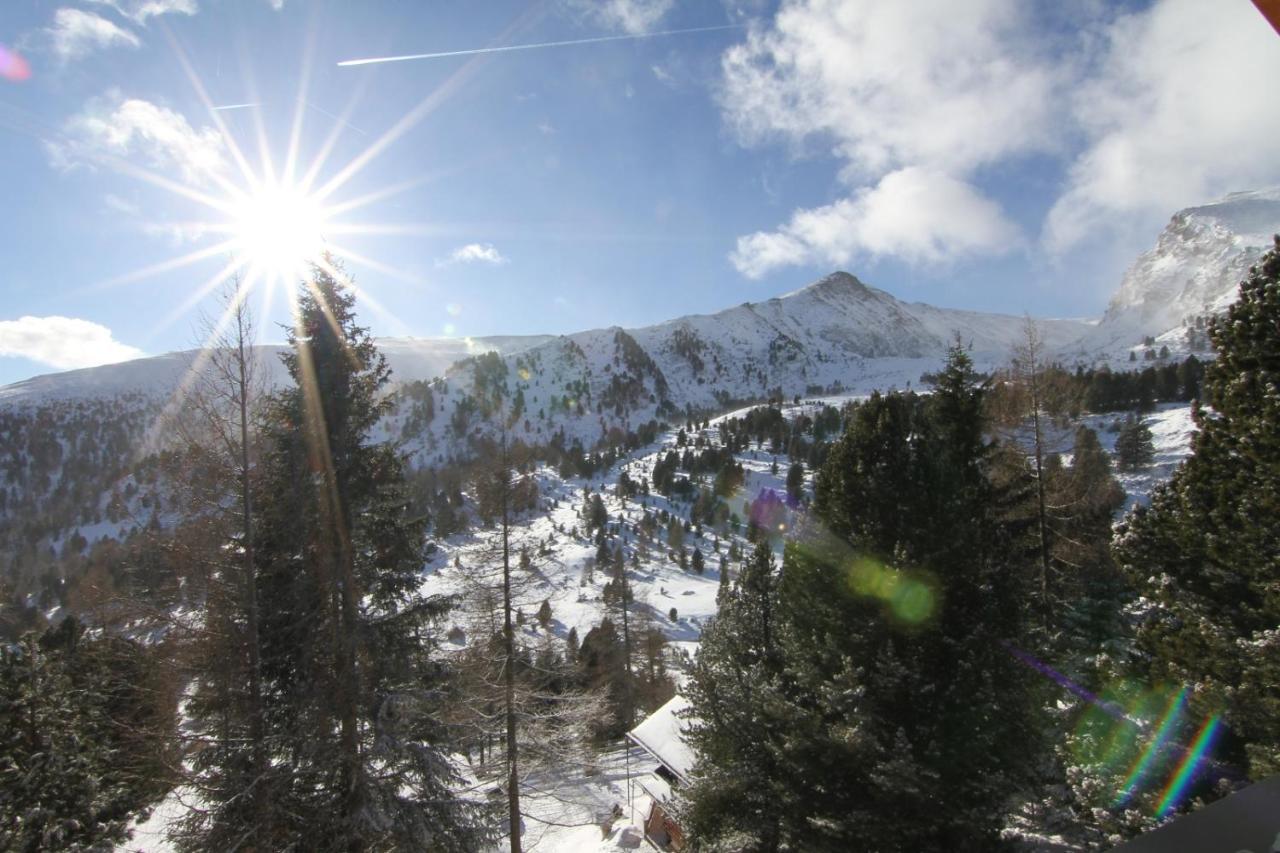 Heidi Chalets Falkert Heidialm - Chalet Almsommer Patergassen Dış mekan fotoğraf